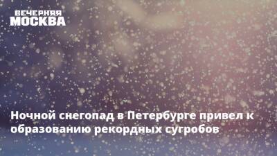 Ночной снегопад в Петербурге привел к образованию рекордных сугробов