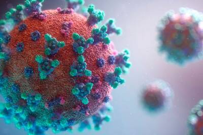 В Британии ищут добровольцев, которые заразились бы коронавирусом во имя науки