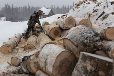 В Екатеринбурге появилась новая схема мошенничества — воруют под видом продажи дров