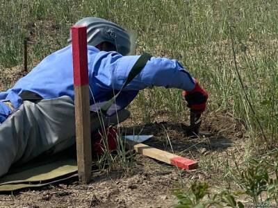 В 2022 г. планируется очистить от мин 40 тыс. га освобожденных территорий Азербайджана