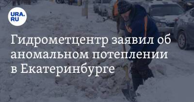 Гидрометцентр заявил об аномальном потеплении в Екатеринбурге