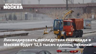 Петр Бирюков - Ликвидировать последствия снегопада в Москве будет 12,5 тысяч единиц техники - vm.ru - Москва - Москва