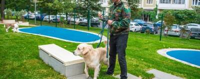 Эксперт поддержал проект мэра Москвы по созданию собачьих площадок нового формата в Москве
