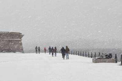 Петербург во власти циклона: какой будет погода на выходных и в феврале