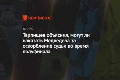 Тарпищев объяснил, могут ли наказать Медведева за оскорбление судьи во время полуфинала