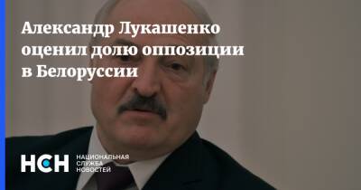 Александр Лукашенко оценил долю оппозиции в Белоруссии