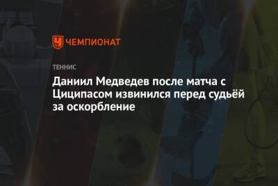 Даниил Медведев после матча с Циципасом извинился перед судьёй за оскорбление