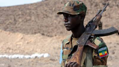 Современное состояние и развитие армии Эфиопии