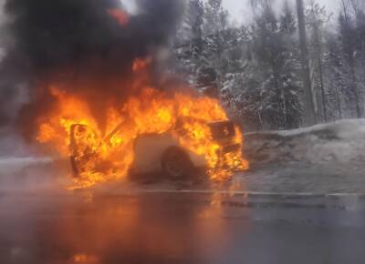 Видео: две иномарки сгорели дотла в окрестностях Петербурга