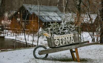 "Дни зимнего уюта" состоятся на ВДНХ в последние выходные января
