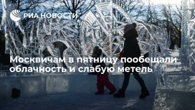 Синоптик "Фобоса" Синенков: в пятницу в Москве ожидается облачная погода и слабая метель