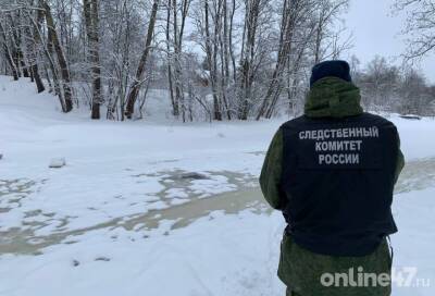 Следователи показали, где была найдена утонувшая в Крещение жительница Ленобласти