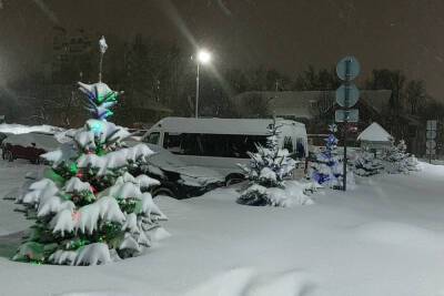 29 января в Рязанской области выпадет снег и потеплеет до -1 градуса