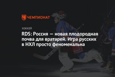 RDS: Россия — новая плодородная почва для вратарей. Игра русских в НХЛ просто феноменальна