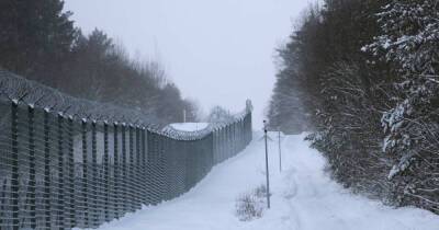 Литва протянула 200 км колючей проволоки на границе с Белоруссией