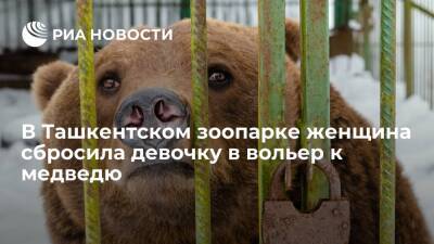 В Ташкентском зоопарке женщина сбросила девочку в вольер к бурому медведю