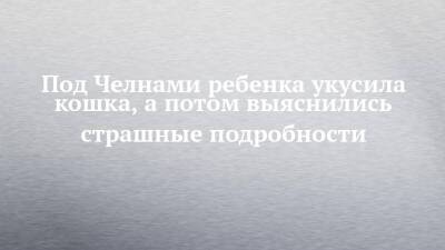 Под Челнами ребенка укусила кошка, а потом выяснились страшные подробности