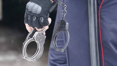 Арестован один из подозреваемых в подготовке атаки на школу в Нижнем Новгороде
