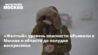 «Желтый» уровень опасности объявили в Москве и области до полудня воскресенья