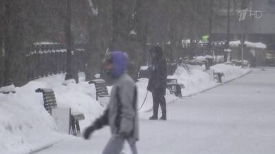 Центральную Россию накрыл новый снегопад