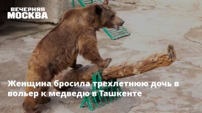 Женщина бросила трехлетнюю дочь в вольер к медведю в Ташкенте