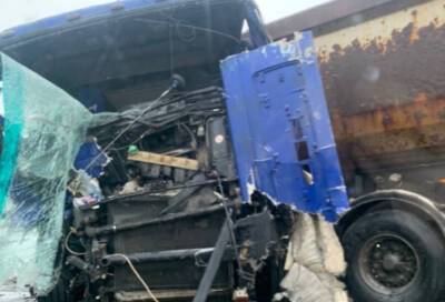 В массовом ДТП с грузовиками и легковушками на трассе "Кола" погибла женщина