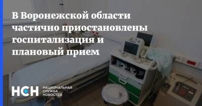 В Воронежской области частично приостановлены госпитализация и плановый прием