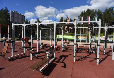 В Ленинградской области утвердили единый стандарт детских и спортивных площадок