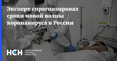 Эксперт спрогнозировал сроки новой волны коронавируса в России