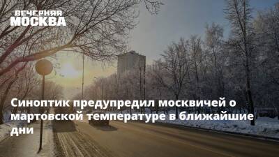 Синоптик предупредил москвичей о мартовской температуре в ближайшие дни
