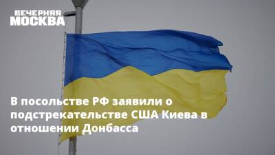 В посольстве РФ заявили о подстрекательстве США Киева в отношении Донбасса