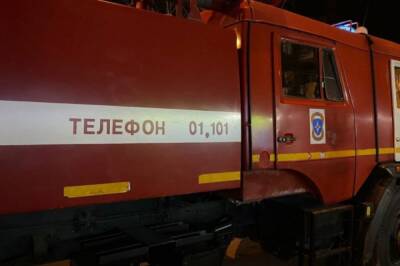 В Архангельской области четверо детей погибли при пожаре