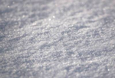 Циклоны «Мари» и «Надя» принесут небольшой снегопад в Петербург 29 января