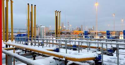 В Германии оценили шансы найти альтернативу российскому газу