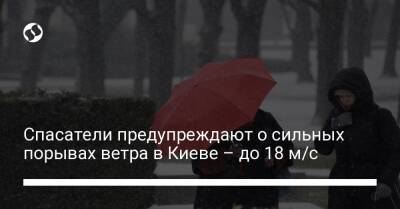 Спасатели предупреждают о сильных порывах ветра в Киеве – до 18 м/с