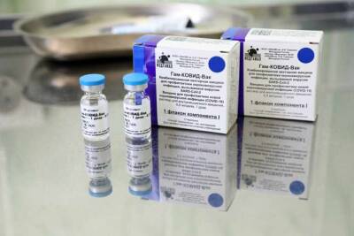Водолацкий: Россия своевременно поставляет вакцины против коронавируса в ЛДНР