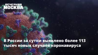 В России за сутки выявлено более 113 тысяч новых случаев коронавируса