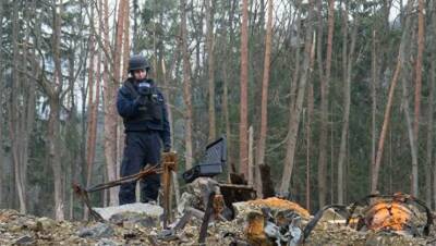 СМИ: в Чехии заподозрили бывшего российского военного в причастности к ЧП во Врбетице