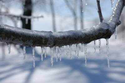 Метель, снег и до -11°C — погода в Ленобласти на 30 января