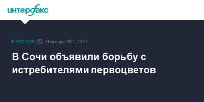 В Сочи объявили борьбу с истребителями первоцветов