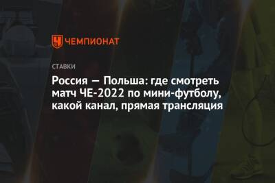 Россия — Польша: где смотреть матч ЧЕ-2022 по мини-футболу, какой канал, прямая трансляция