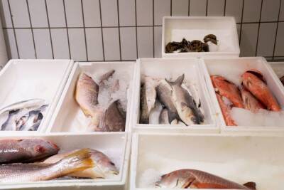 Почти 20 тонн рыбы из Новгородской области экспортировали в Нидерланды