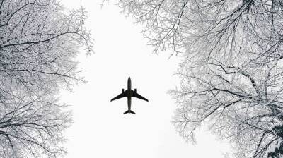 В Воронежском аэропорту из-за снегопада задержали 4 рейса