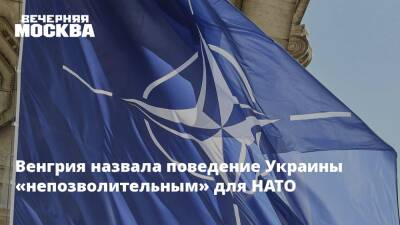 Венгрия назвала поведение Украины «непозволительным» для НАТО