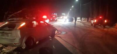 При столкновении ZAZ Chance и Ford Focus в Клепиковском районе пострадали два пассажира