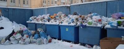 Бывший «мусорный» подрядчик разрешил Петербургу бесплатно использовать контейнеры из-за отсутствия новых