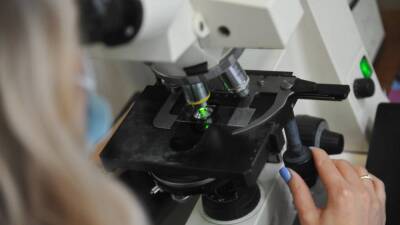 Ученые НИИ «Спалланцани» в Италии заявили о выявлении нового варианта омикрон-штамма