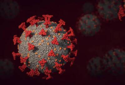 Вирусолог Нетесов назвал необходимое для защиты от COVID-19 количество антител