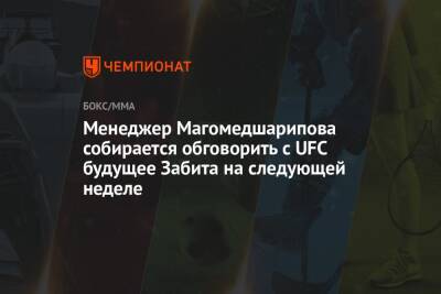 Менеджер Магомедшарипова собирается обговорить с UFC будущее Забита на следующей неделе