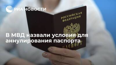 МВД: паспорт становится недействительным при внесении непредусмотренных законом сведений